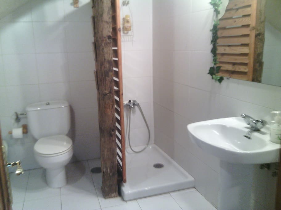 Baño planta baja