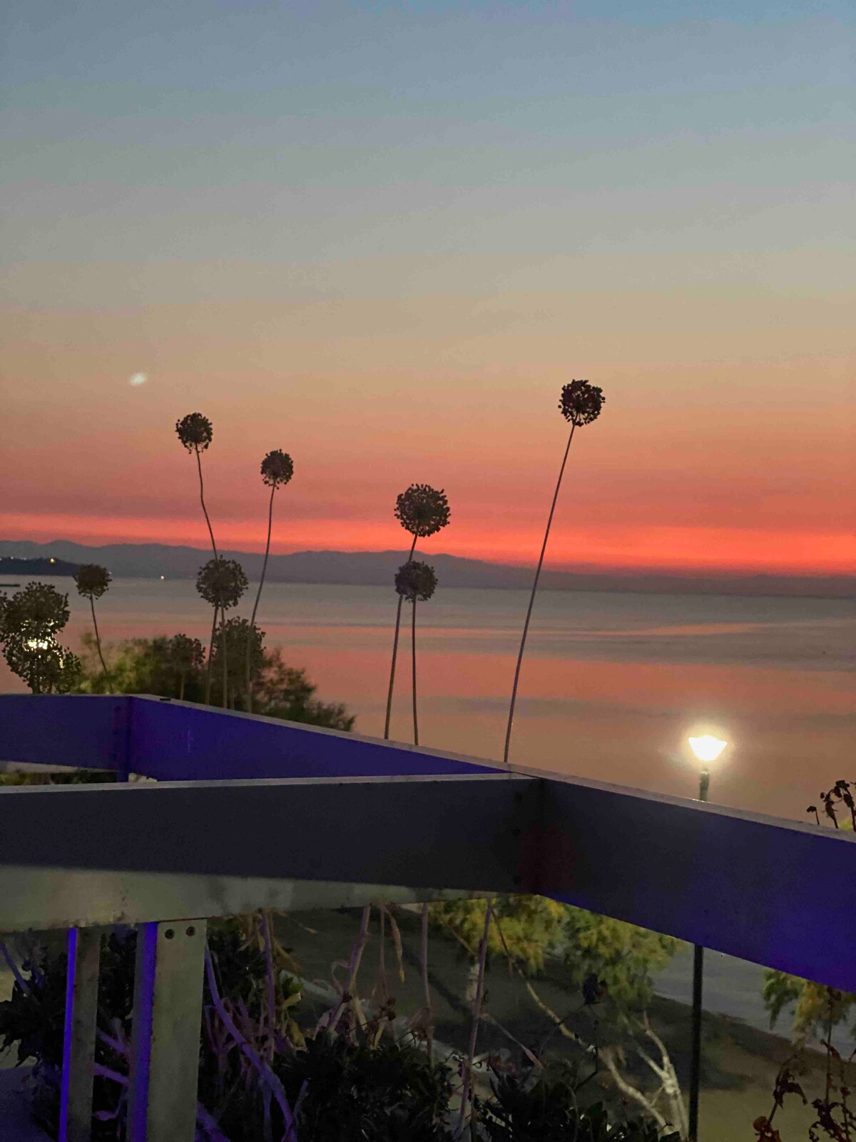 The image captures a serene seascape at sunset, showcasing gentle waves reflecting hues of orange and pink. Silhouetted plants with round flower heads are positioned in the foreground, alongside a softly glowing streetlight. The tranquil atmosphere is complemented by the calm waters of the sea.
