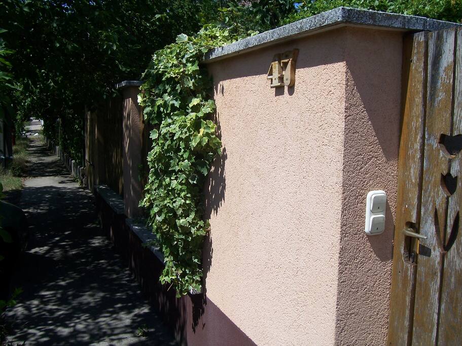 entrance door