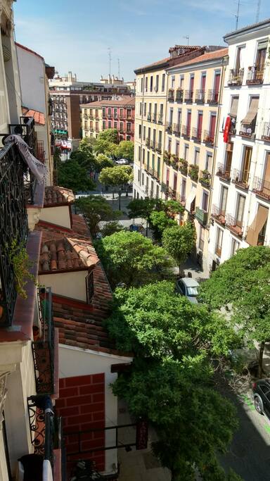 Vistas desde habitación