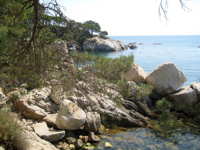 Serene Getaway with Scenic Views gallery image 5