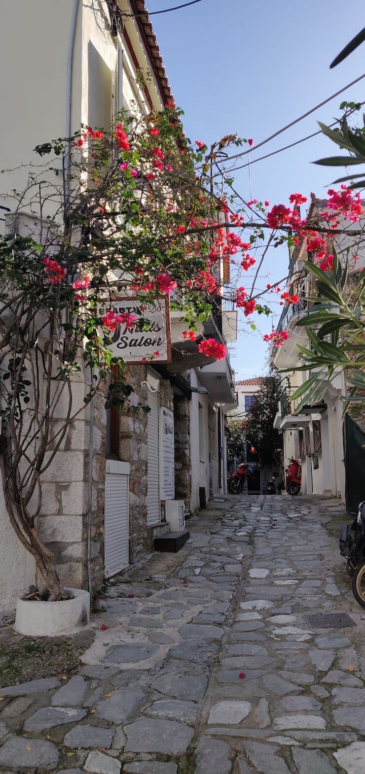 Small House in the heart of Skiathos