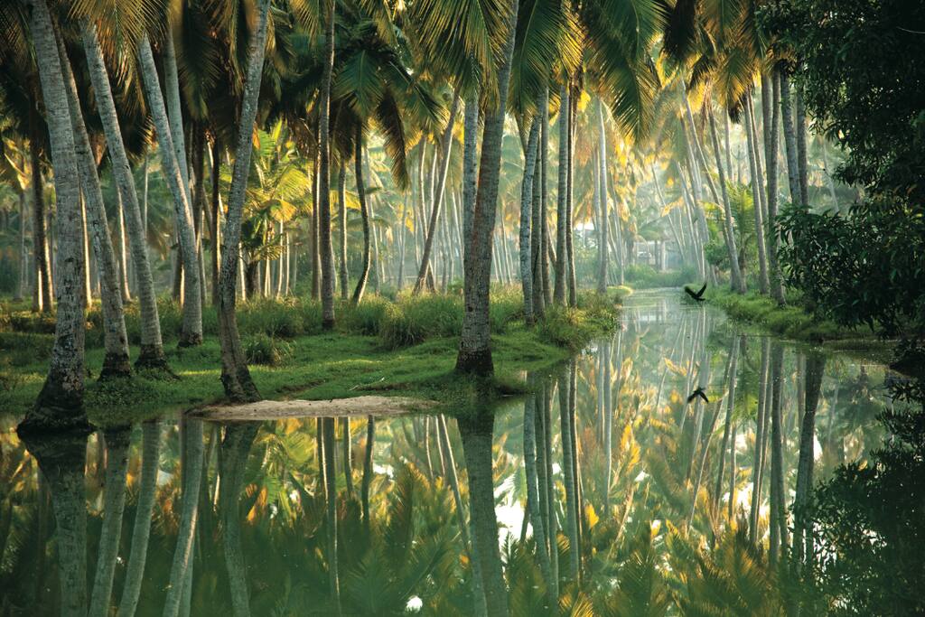 lake view