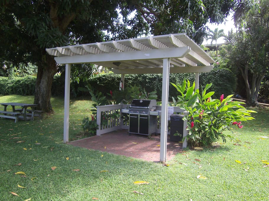 50 steps from your lanai, is this BBQ. Advice on how to get fresh fish at wholesale rates is included.