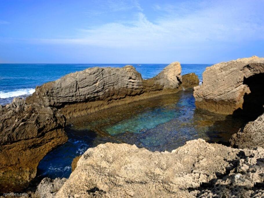 Magnifique balade en bord de mer
