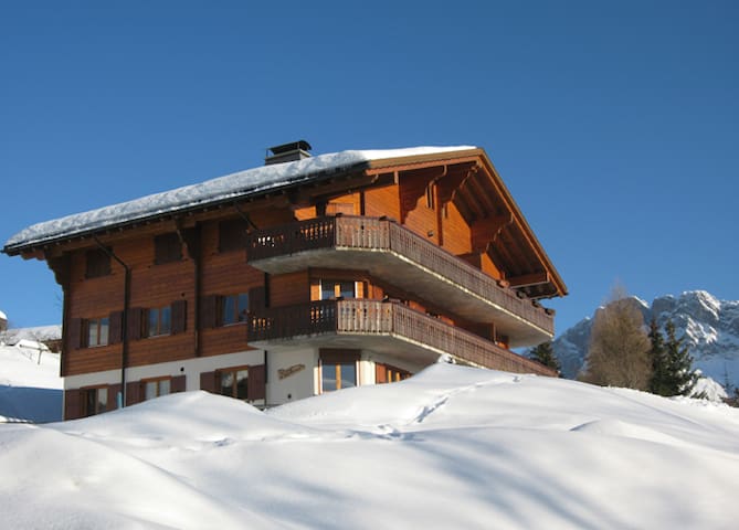 Gorgeous, pet friendly, piste-side apartment