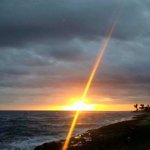 Download Pis 1 habitacio en lloguer a west palm beach Free Pis 1 Habitacio En Lloguer A West Palm Beach