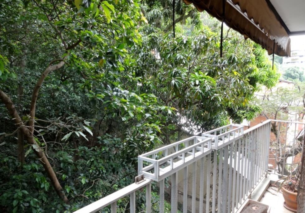 Balcony facing the forest