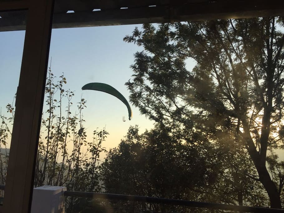 Paragliding