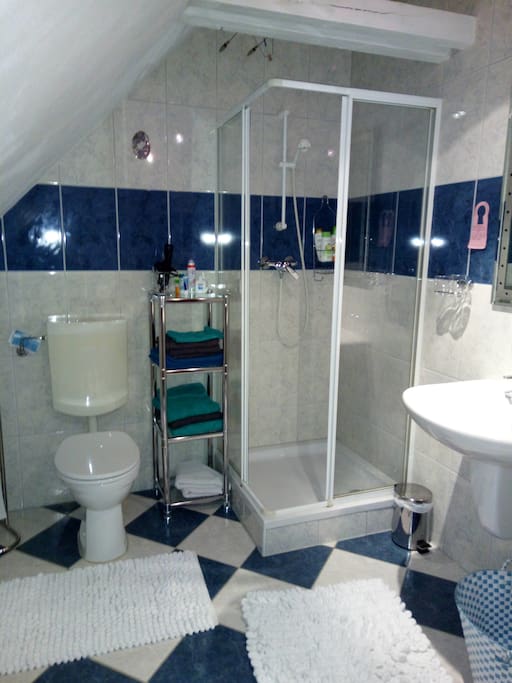 Badezimmer mit Duschbad./
Bathroom with shower.