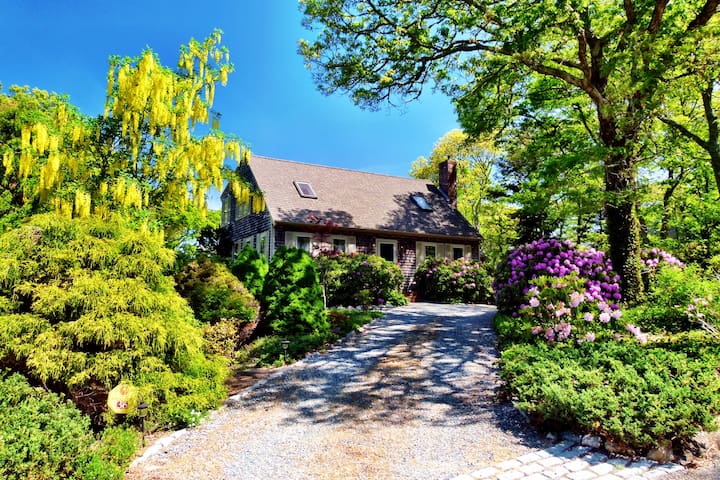 Sunny, private room + access to house, deck, etc