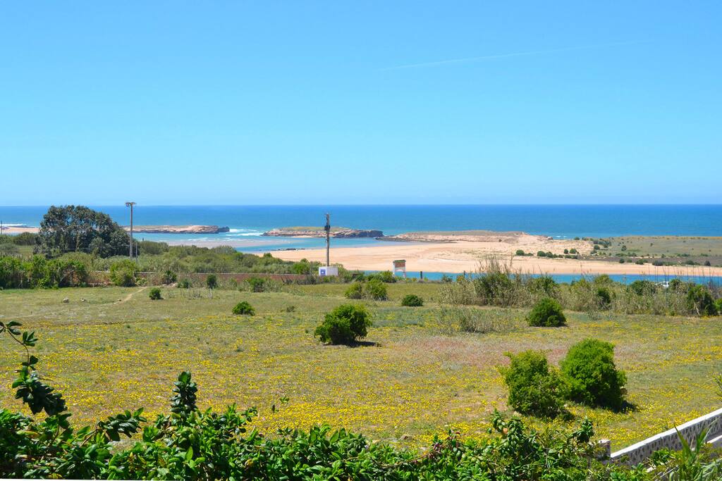 Vue de la terrasse au printemps