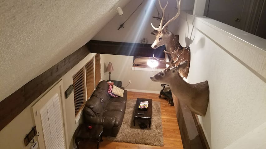 LARGE GROUP? | 3 Stories, 5 Bedrooms, Sleeps 18