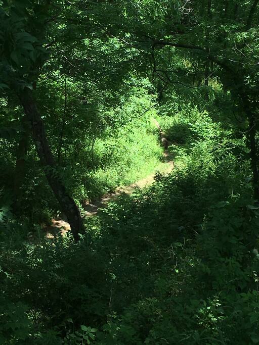 Hiking trail