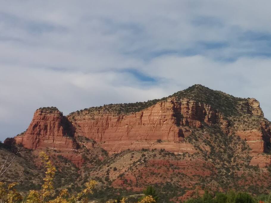 View from the patio