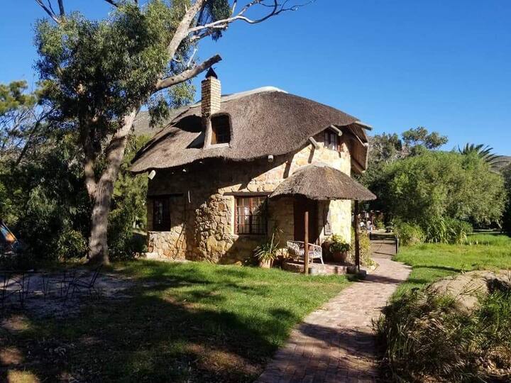 Аренда юар. Стоимость квартиры в йоханнесбурге. Йоханнесбург юар снять жилье. Снять квартиру в йоханнесбурге. Аренда юар.