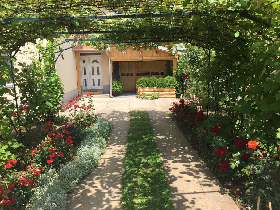 Garden
Property