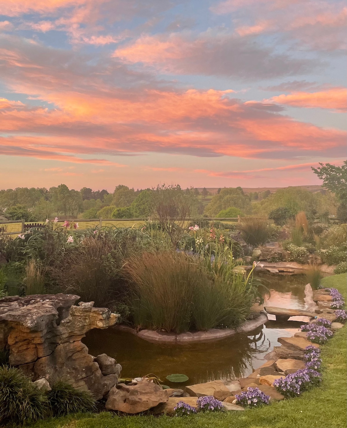 A tranquil garden scene features a shallow pond surrounded by lush greenery and flowering plants. Gentle stone formations accentuate the water's edge, while a pastel sky reflects warm hues at sunset, enhancing the peaceful ambiance of the outdoor space.