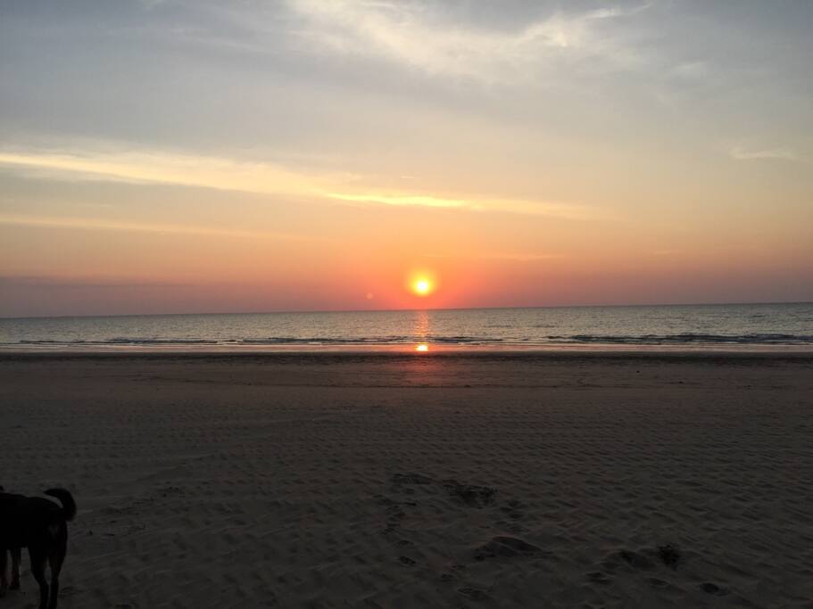 Sunset