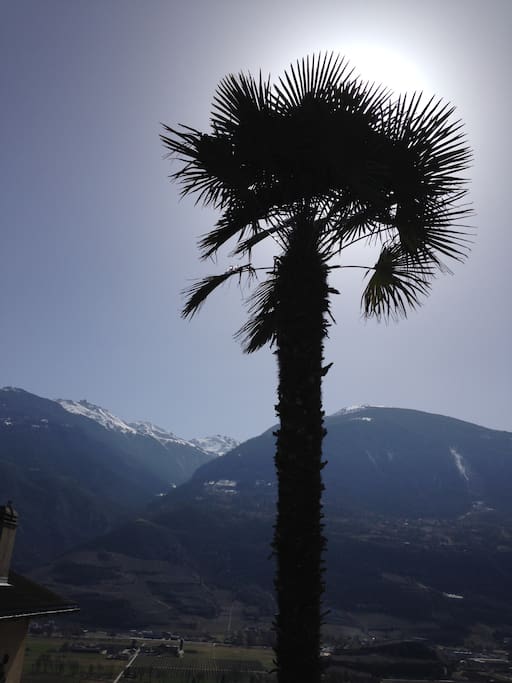 Eh oui c'est bien dans notre village en Valais !!!