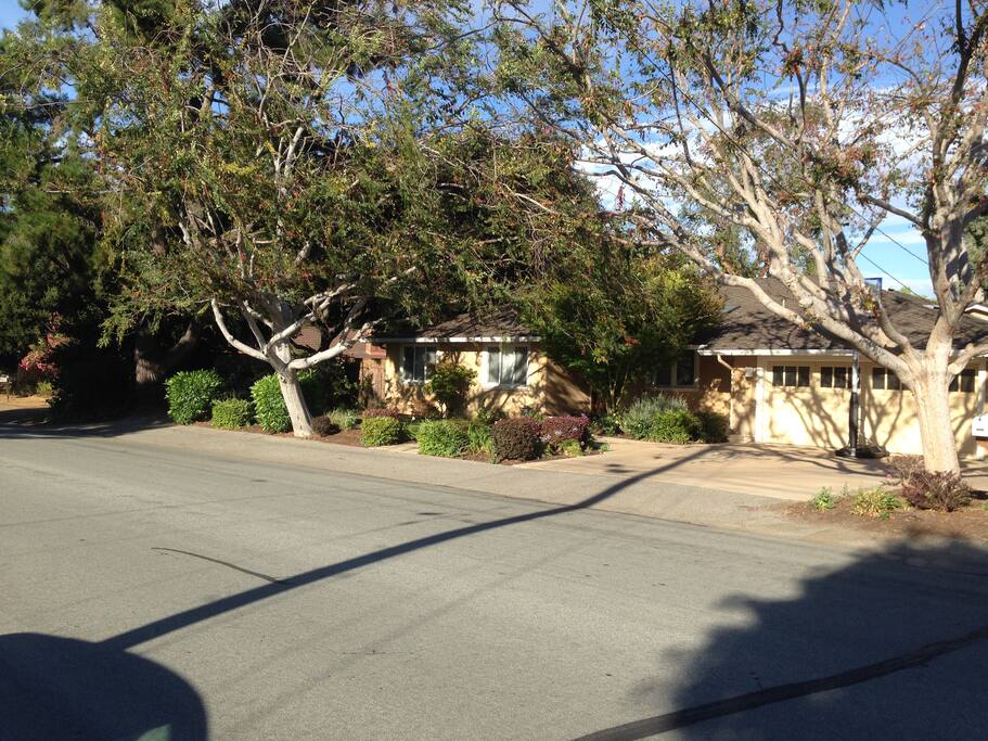 Quiet residential street, plenty of parking