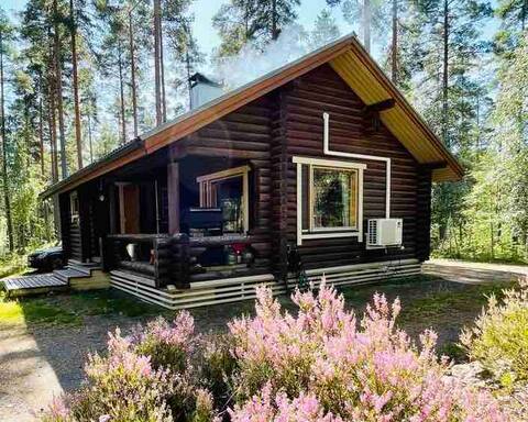Unique cottage in a pine forest in front of the lake