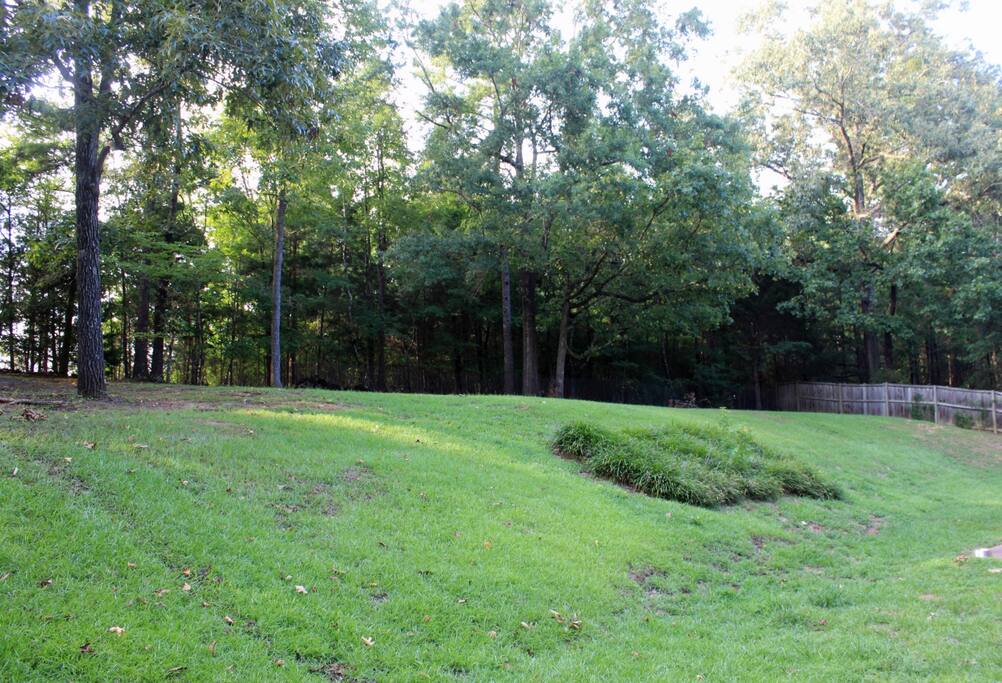 Fenced backyard with patio great for dogs and kids!