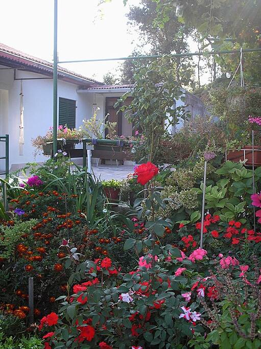 Garten
