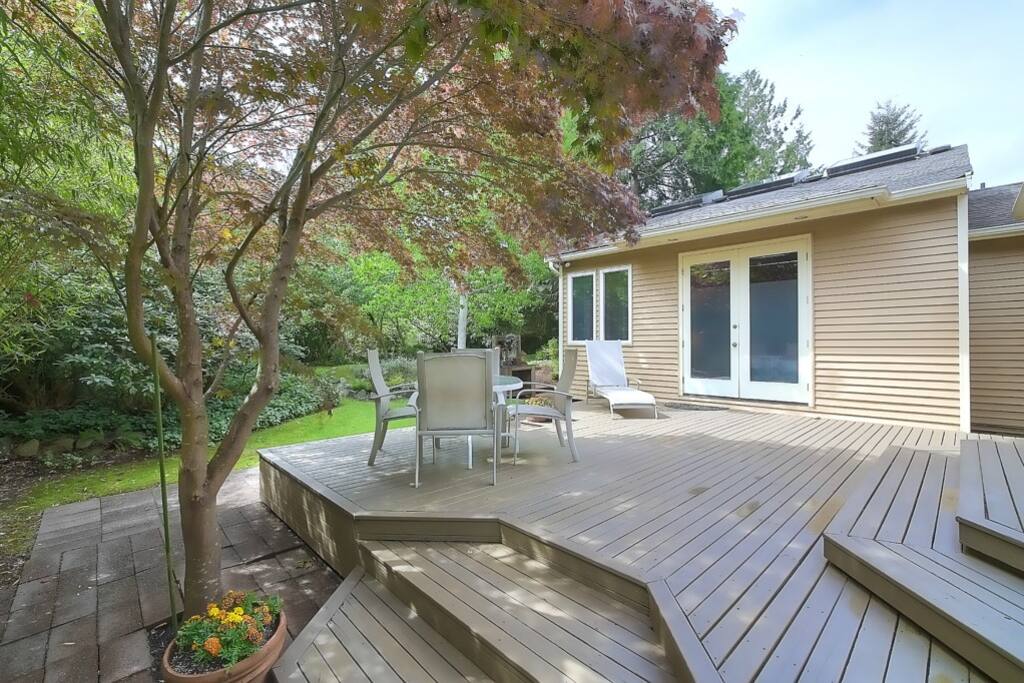 Trees on premises: Japanese Maple, Cedar, Fir, Poplar, Holly, Apple, Fig, etc.