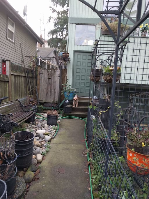 Front walk. Toto is getting it the picture also.