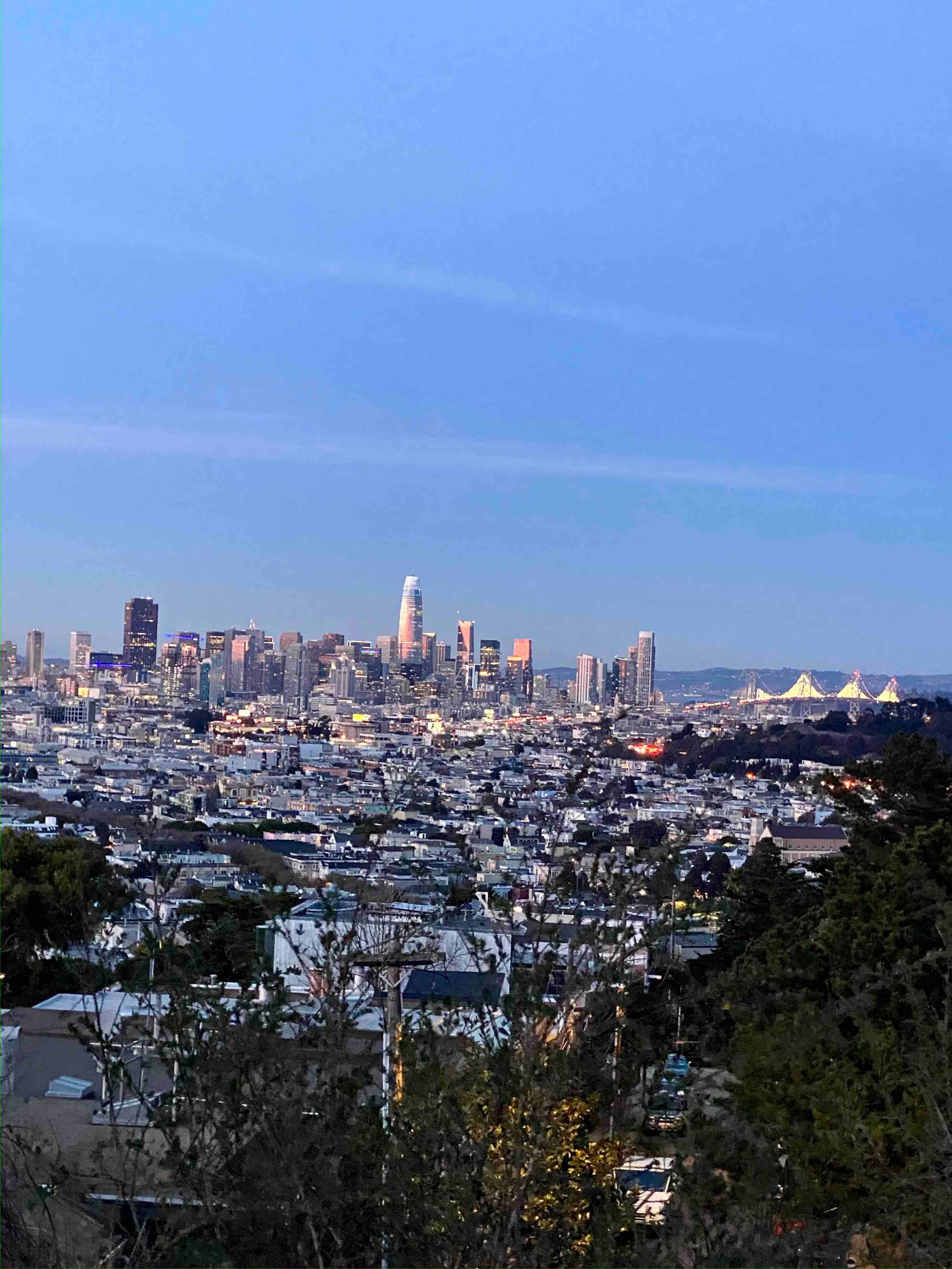 Home in San Francisco · ★4.95 · 3 bedrooms · 3 beds · 1.5 baths - Image 33