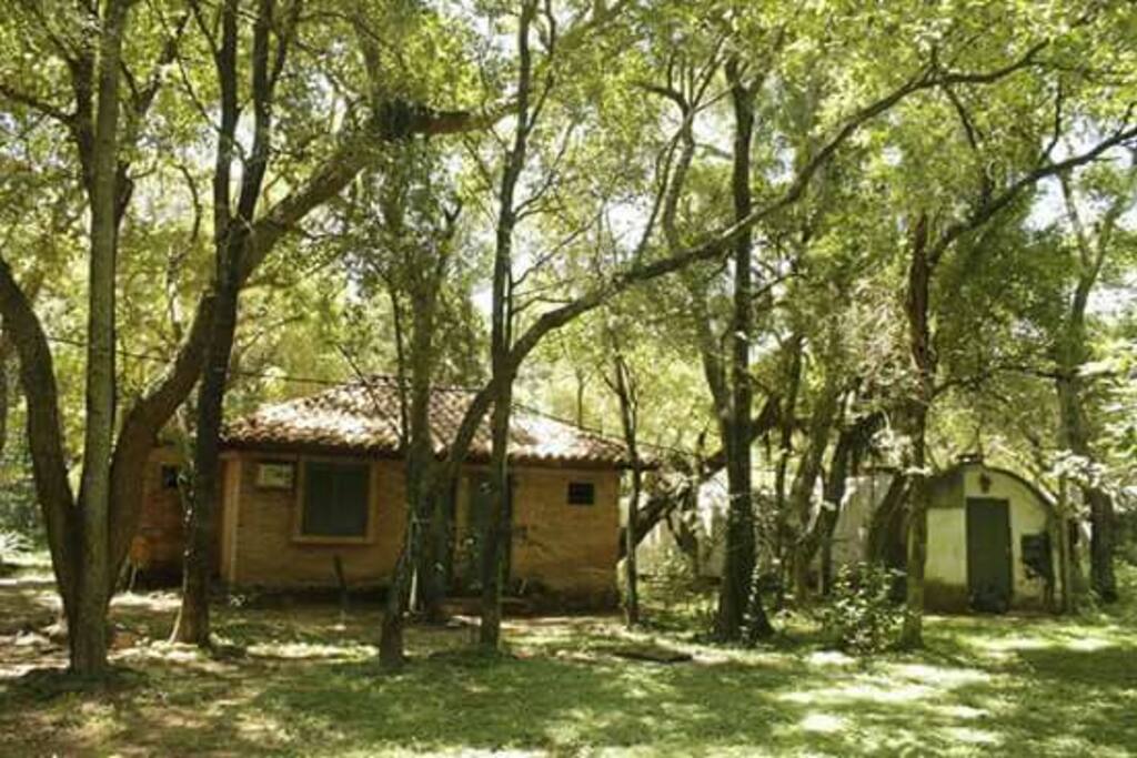 Habitaciones en el bosque.