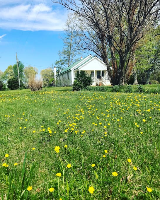 Front yard view in the Spring