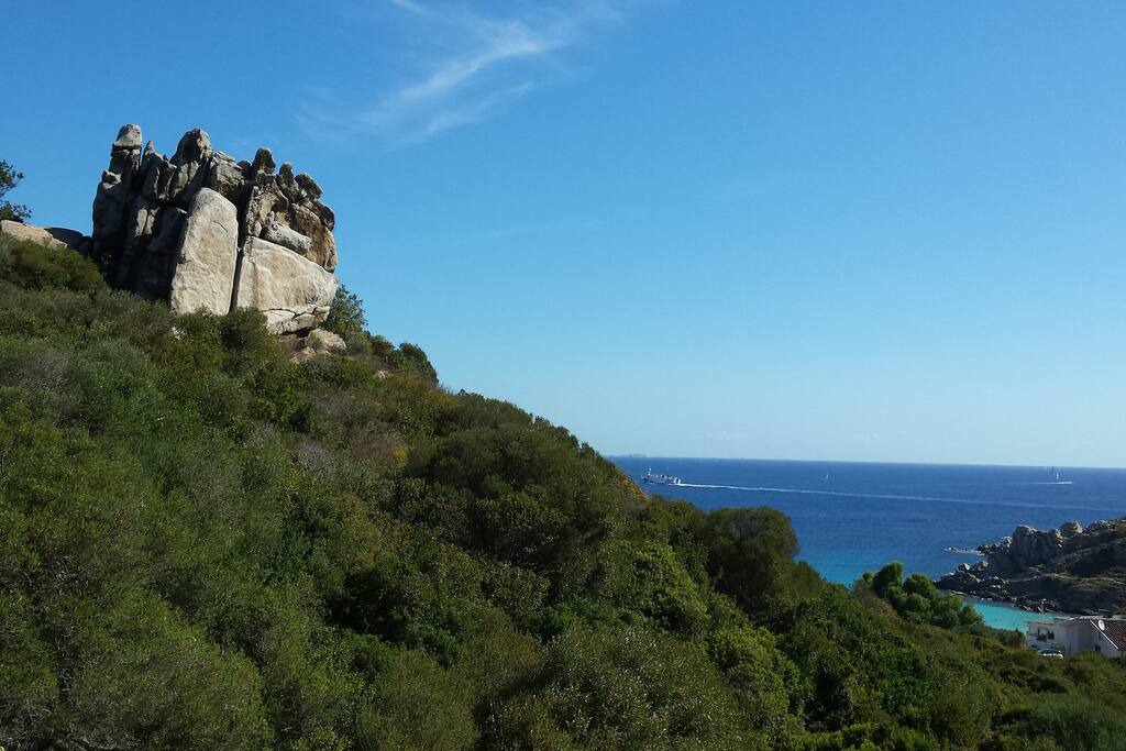 vue de la terrasse