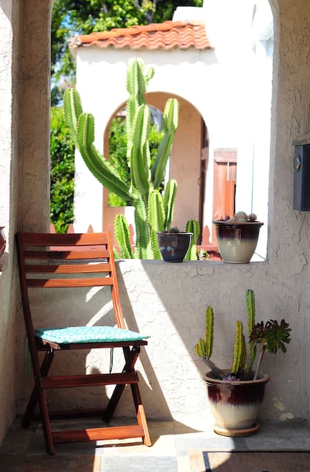 Front Porch with potted succulents & cactus