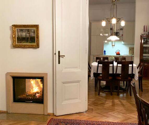 Large city apartment in the heart of Vienna