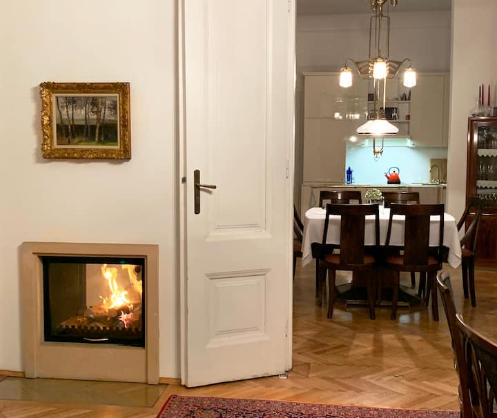 Large city apartment in the heart of Vienna Apartments for Rent in