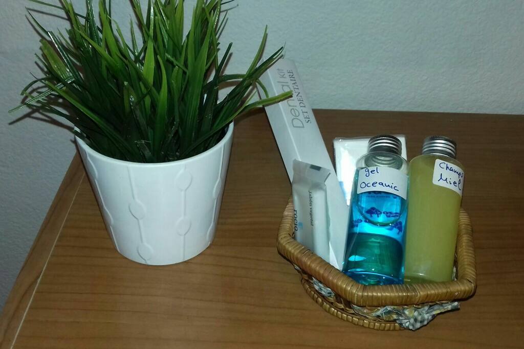 Gel, champú, toallas...