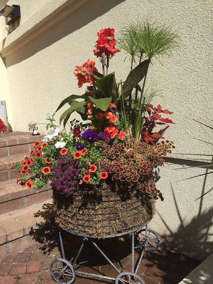 village flower shop danbury ct