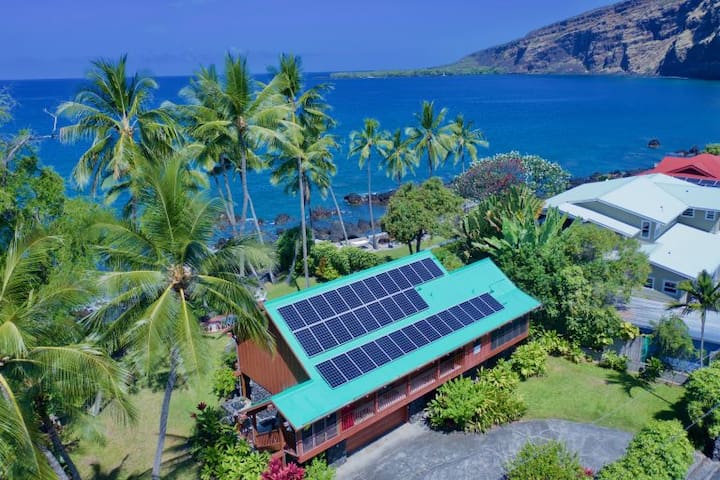 Dolphin Paradise gallery image 2