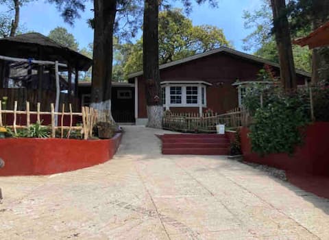 Beautiful mountain retreat in the forest