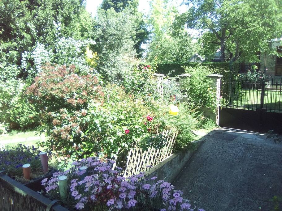 garden