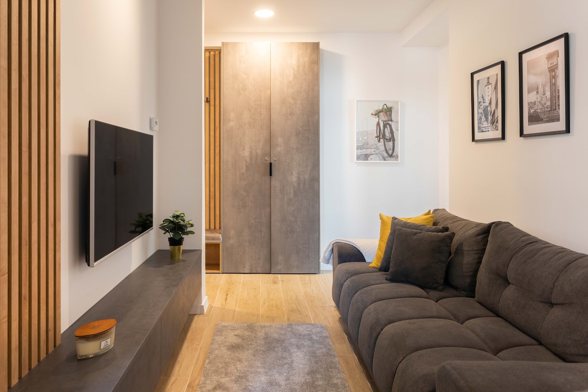 The living area features a modern gray couch complemented by a textured rug. A flat-screen television is mounted on the wall above a sleek media console. A small plant adds a touch of greenery, while two framed photographs are displayed on the wall.