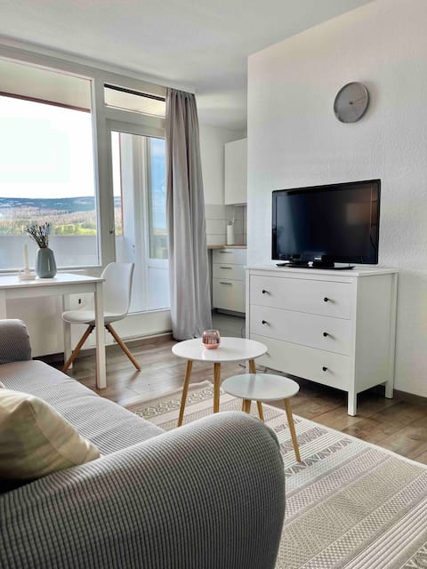 1-room apartment with a view on the Brocken