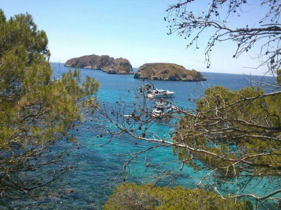 playas de mallorca