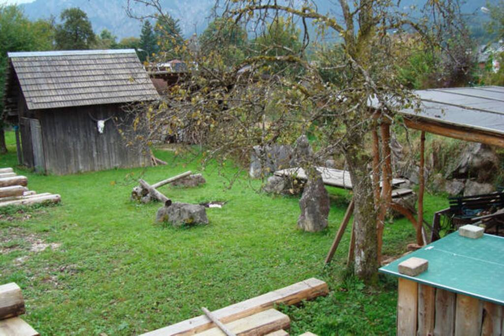 garden