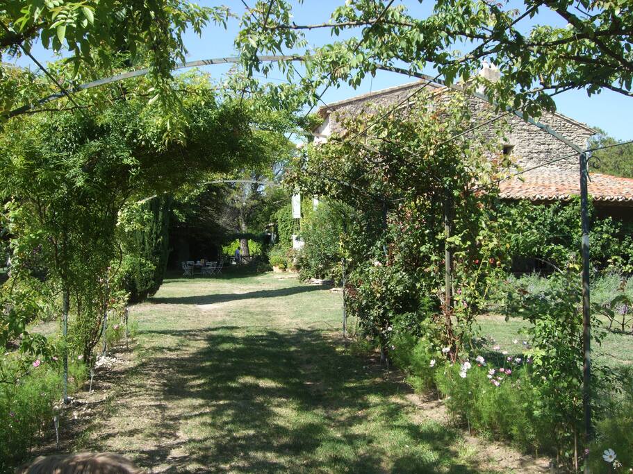 On accède à la maison par une roseraie