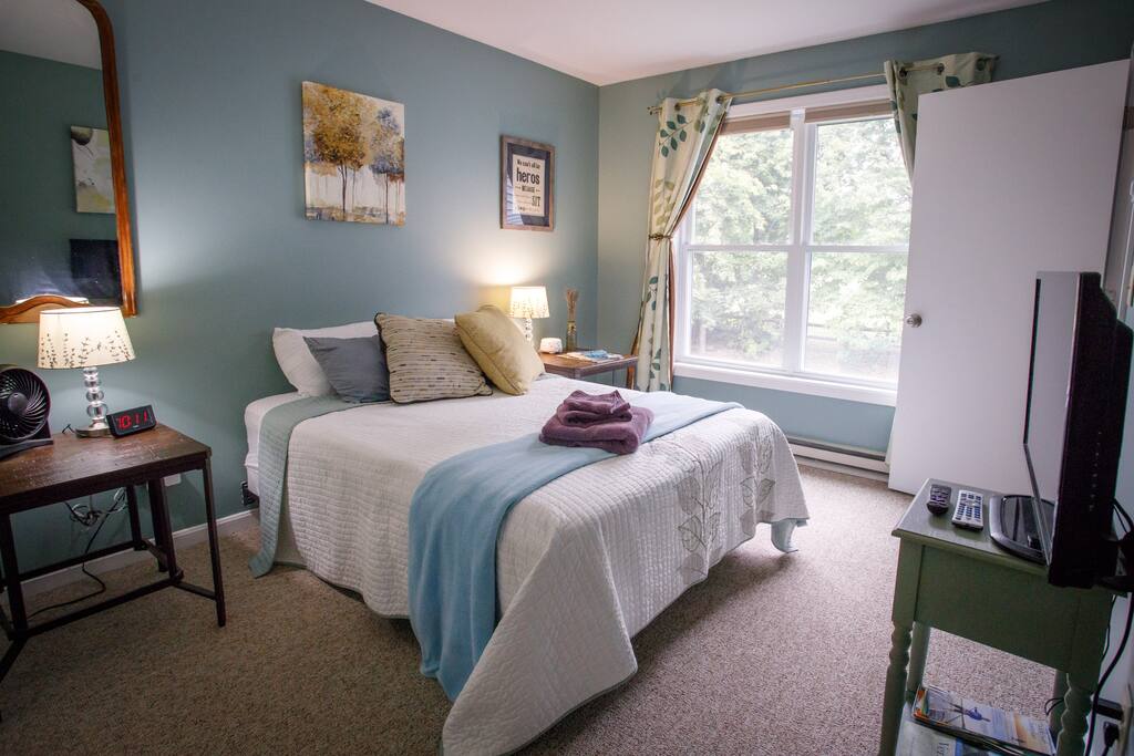 Bedroom featuring blackout curtains, TV and plenty of closet space.