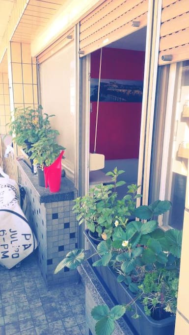 Balcony with a little garden
