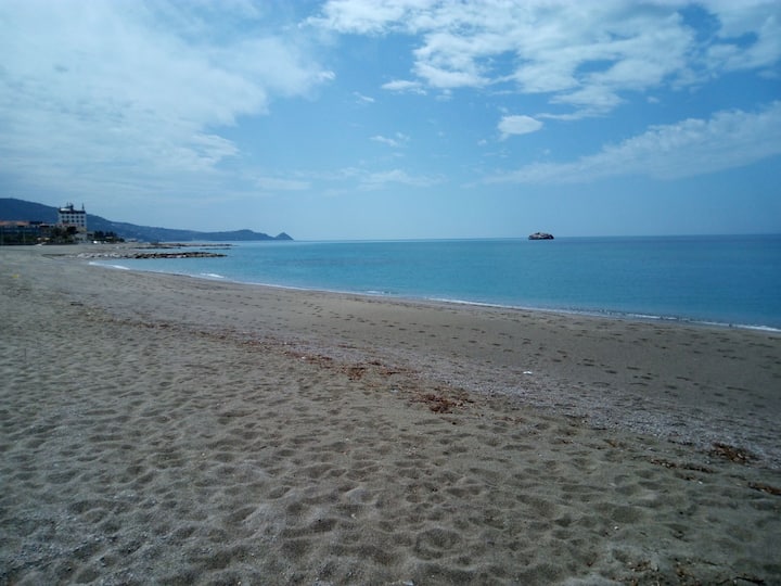 Brolium - Gioiosa Marea